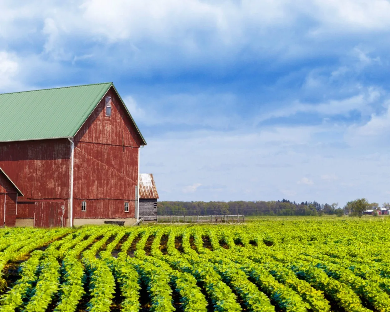 Farm field and barn representing agricultural Biochar applications