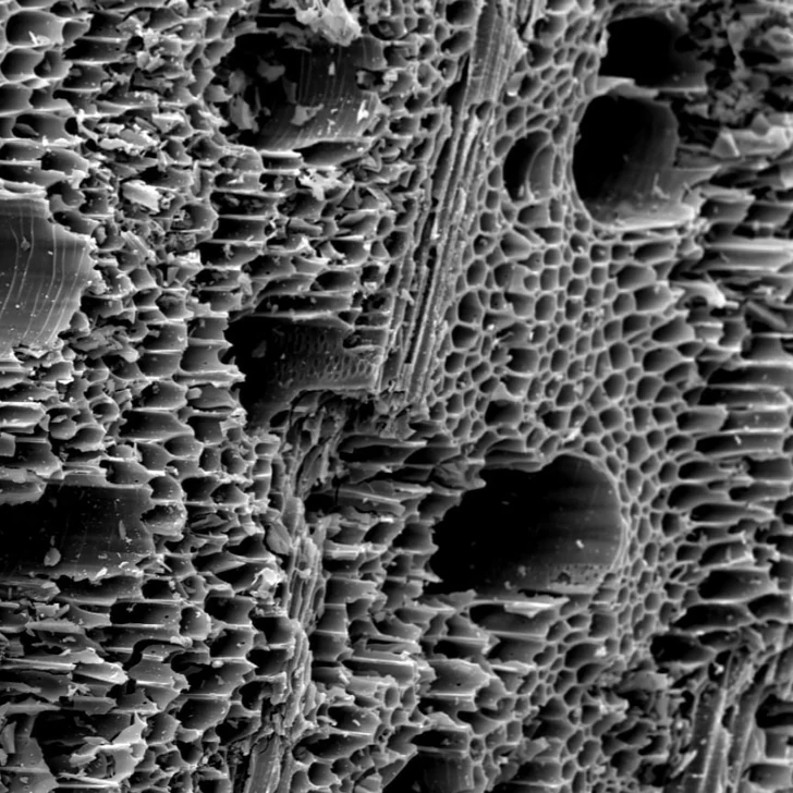 Close-up view of Biochar's porous surface