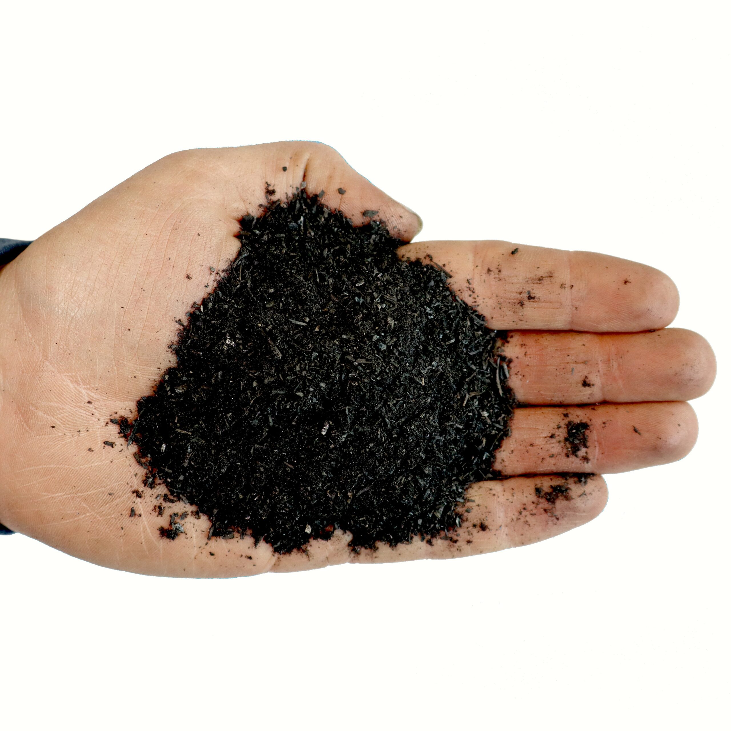 Biochar texture is good for microbes