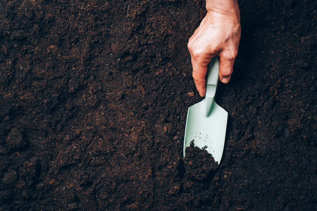Biochar can fix soils